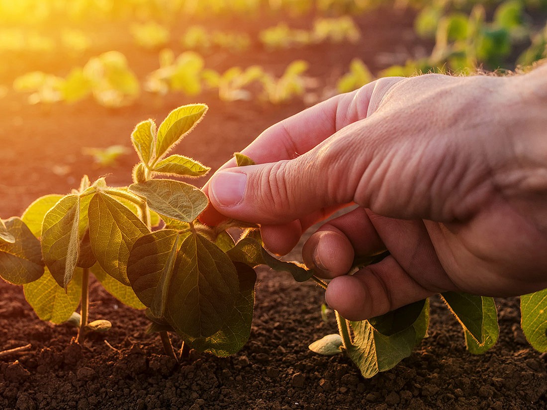 Eat Me At: Вибір, який ми створили - Photo №1